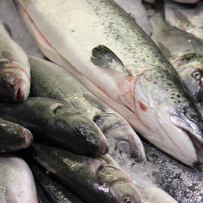 seafood
